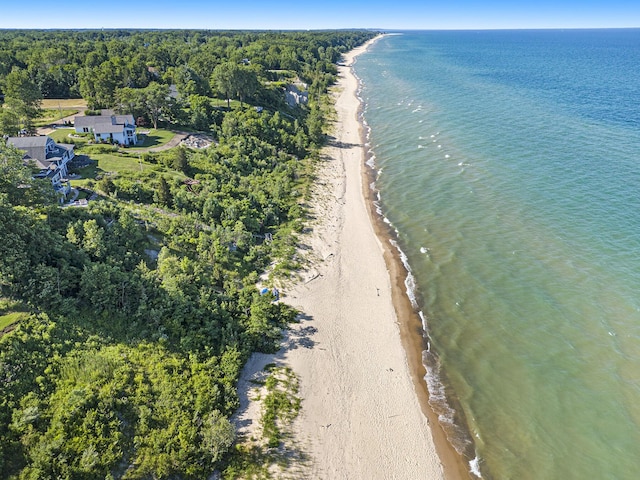 488 Solace Way S, Haven, MI 49090 - aerial view of unending shoreline and a heavily wooded area