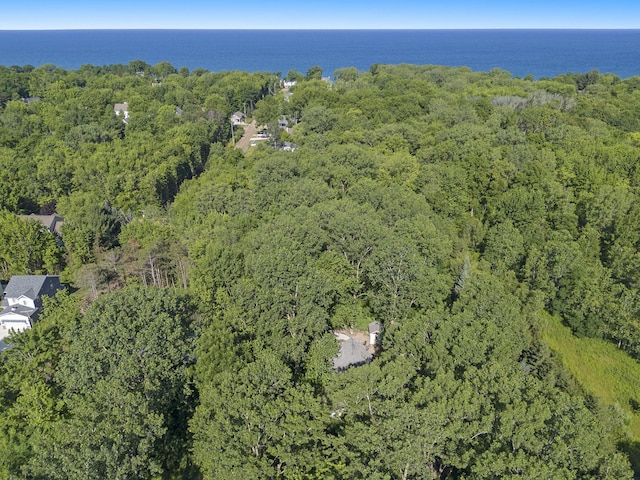 488 Solace Way S, Haven, MI 49090 - view of property location featuring a heavily wooded area and a nearby body of water