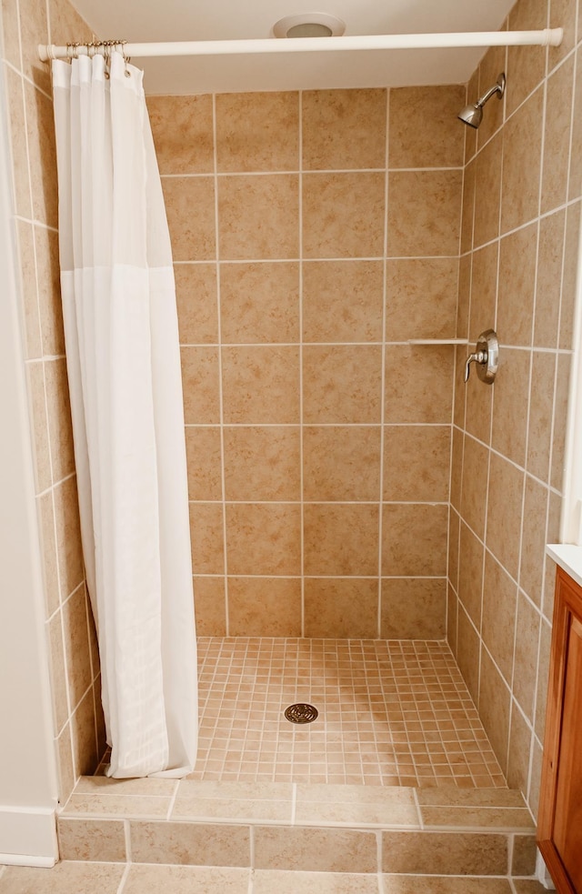 706 N Dockside Cir, Suttons Bay, MI 49682 - full bathroom featuring a stall shower and vanity