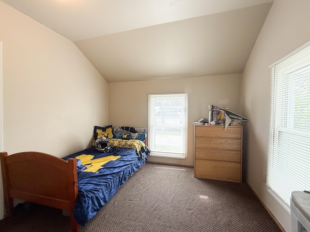 207 W Railroad St, Dowagiac, MI 49047 - carpeted bedroom featuring lofted ceiling