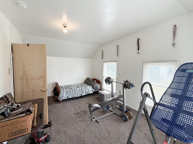 207 W Railroad St, Dowagiac, MI 49047 - bedroom with lofted ceiling and carpet flooring