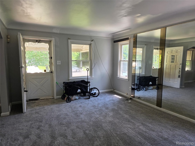 19351 Braile St, Detroit, MI 48219 - carpeted entrance foyer featuring plenty of natural light