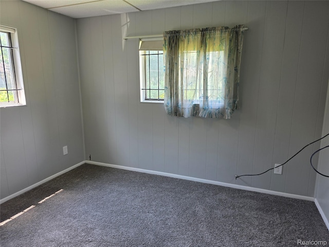 19351 Braile St, Detroit, MI 48219 - carpeted spare room featuring baseboards