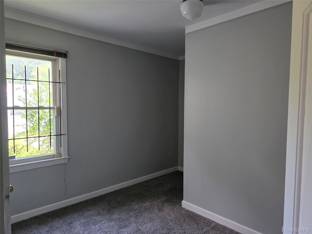 19351 Braile St, Detroit, MI 48219 - empty room featuring dark carpet and crown molding