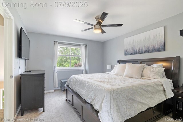 27497 Oakley St, Livonia, MI 48154 - photo 32