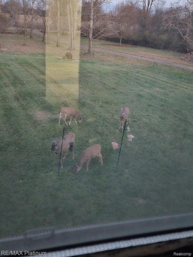11077 Owosso Rd, Fowlerville, MI 48836 - photo 32