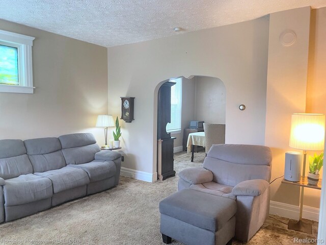 4347 Parkinson St, Detroit, MI 48210 - photo 5