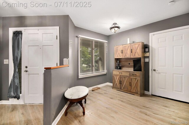 3787 Santa Fe Trl, Ann Arbor, MI 48108 - foyer entrance featuring baseboards and light wood-style floors