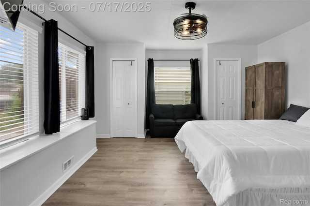 1890 Darwin Rd, Pinckney, MI 48169 - bedroom with multiple closets, multiple windows, and light wood-style floors