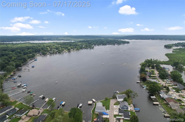 1890 Darwin Rd, Pinckney, MI 48169 - drone / aerial view of a nearby body of water