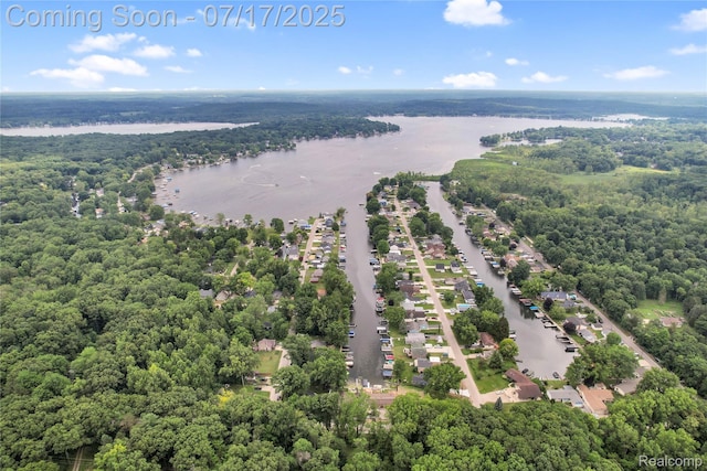 1890 Darwin Rd, Pinckney, MI 48169 - drone / aerial view of a forest and a nearby body of water