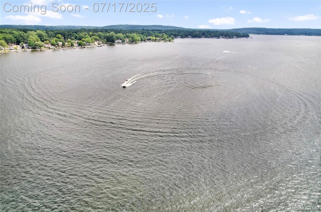 1890 Darwin Rd, Pinckney, MI 48169 - drone / aerial view of a nearby body of water