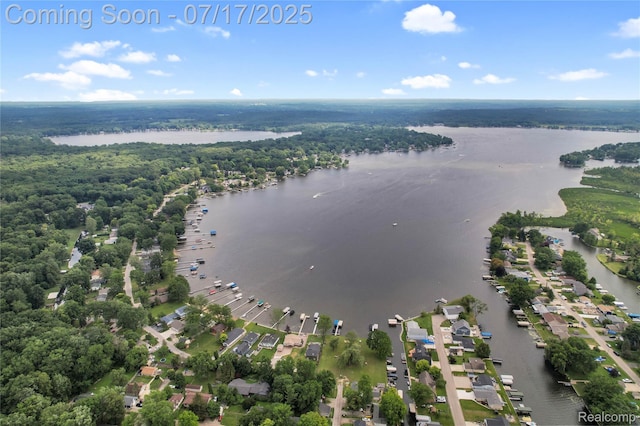 1890 Darwin Rd, Pinckney, MI 48169 - bird's eye view of a nearby body of water and a forest
