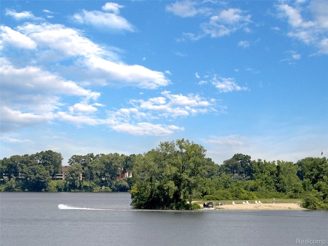 9671 Harbour Cove Ct, Ypsilanti, MI 48197 - water view
