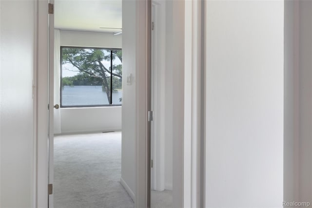 9671 Harbour Cove Ct, Ypsilanti, MI 48197 - hallway featuring carpet flooring