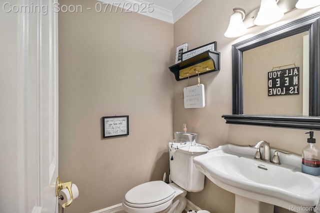 1090 E Jones Rd, Howell, MI 48855 - half bathroom featuring a sink and crown molding