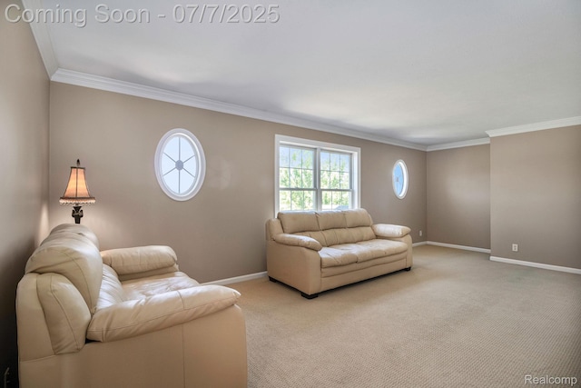 1090 E Jones Rd, Howell, MI 48855 - living room featuring light carpet and crown molding