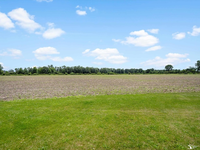 7393 Newport S Rd, Newport, MI 48166 - view of green lawn with a view of countryside