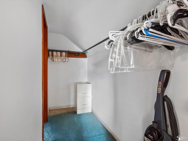 7393 Newport S Rd, Newport, MI 48166 - walk in closet with carpet flooring and vaulted ceiling