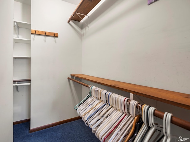 7393 Newport S Rd, Newport, MI 48166 - spacious closet with carpet flooring