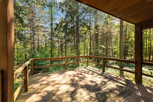 12271 E Woolsey Lake Rd, Northport, MI 49670 - photo 36