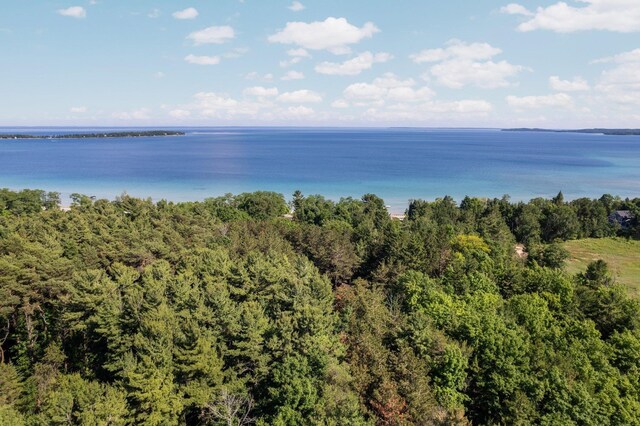 12271 E Woolsey Lake Rd, Northport, MI 49670 - photo 9