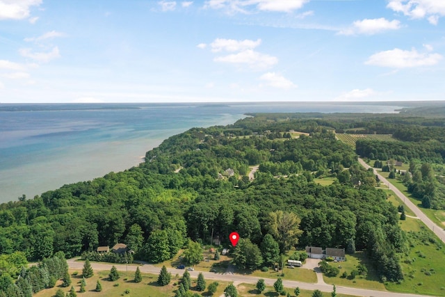 12090 E Old Orchard Trl, Suttons Bay, MI 49682 - photo 20