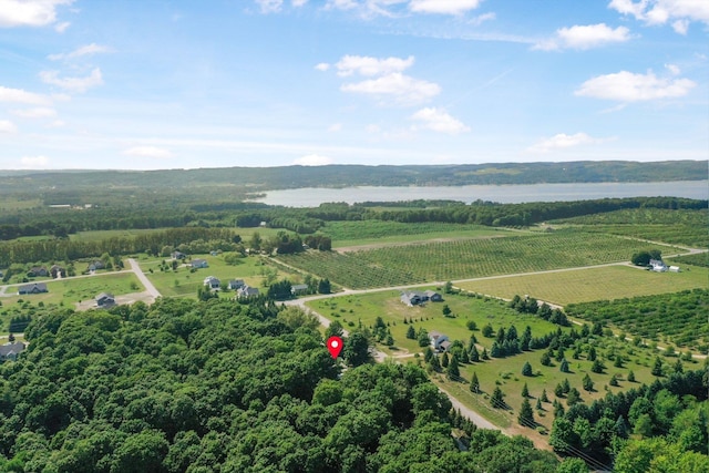 12090 E Old Orchard Trl, Suttons Bay, MI 49682 - photo 17