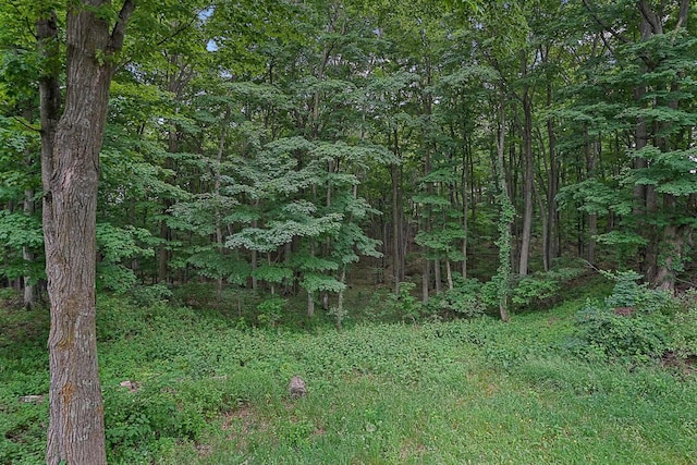 12090 E Old Orchard Trl, Suttons Bay, MI 49682 - photo 71