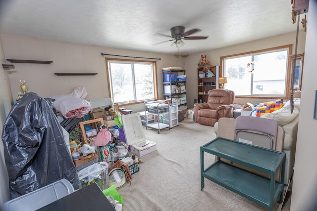 11105 Hahn Beach Dr, Evart, MI 49631 - living area with carpet and ceiling fan