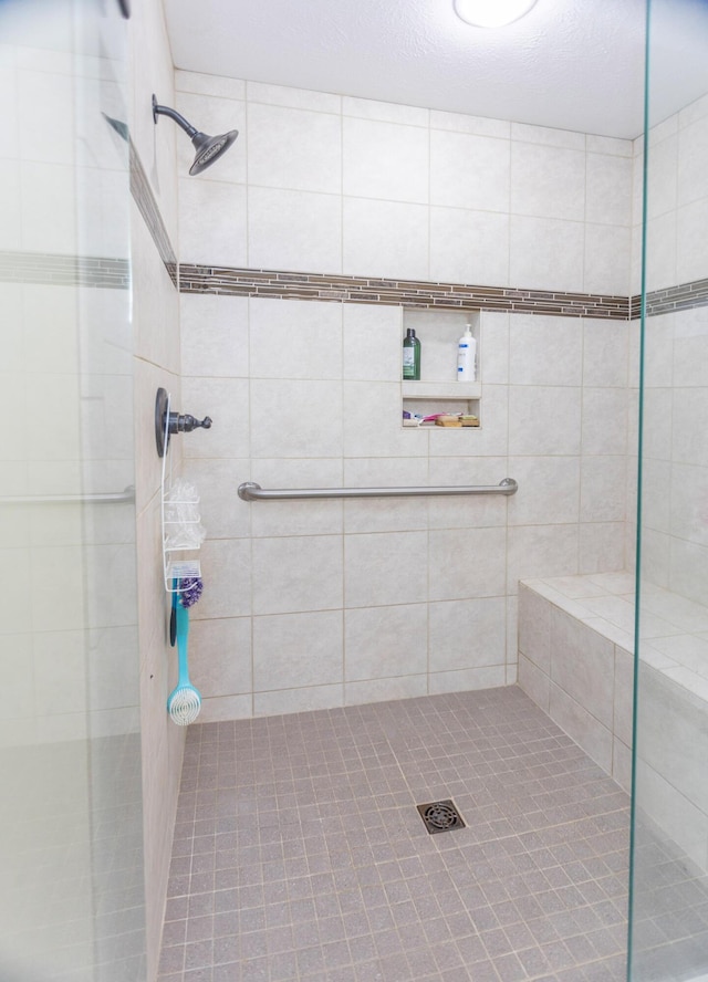 11105 Hahn Beach Dr, Evart, MI 49631 - full bath with tiled shower
