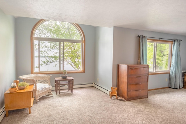 11105 Hahn Beach Dr, Evart, MI 49631 - living area with carpet floors and a baseboard heating unit