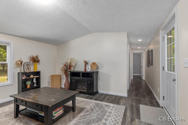 4301 Lasalle Ln, Newaygo, MI 49337 - living room featuring a textured ceiling, wood finished floors, lofted ceiling, a glass covered fireplace, and recessed lighting
