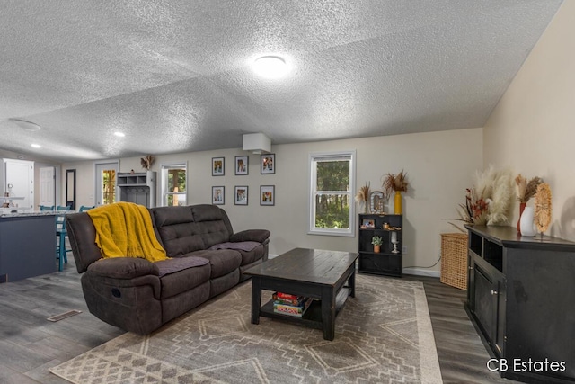 4301 Lasalle Ln, Newaygo, MI 49337 - living room with wood finished floors and a textured ceiling