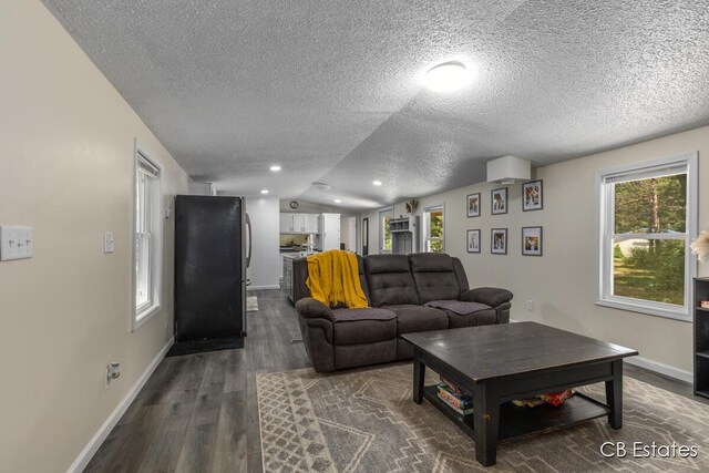 4301 Lasalle Ln, Newaygo, MI 49337 - living room with a textured ceiling, dark wood finished floors, and vaulted ceiling