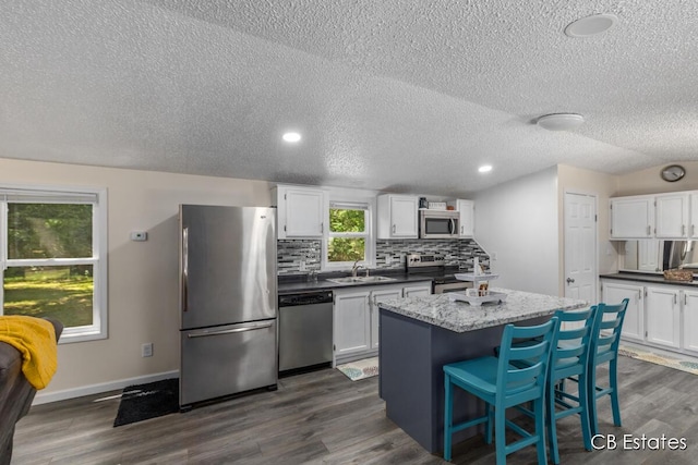 4301 Lasalle Ln, Newaygo, MI 49337 - kitchen featuring stainless steel appliances, tasteful backsplash, a kitchen island, white cabinetry, and dark wood-type flooring