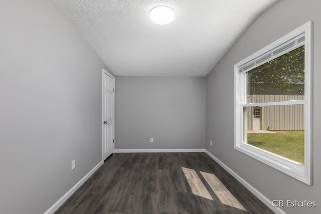 4301 Lasalle Ln, Newaygo, MI 49337 - unfurnished room featuring plenty of natural light, dark wood finished floors, and a textured ceiling