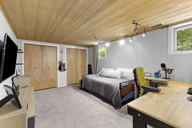 15178 154th Ave, Grand Haven, MI 49417 - carpeted bedroom featuring multiple closets, multiple windows, and wood ceiling