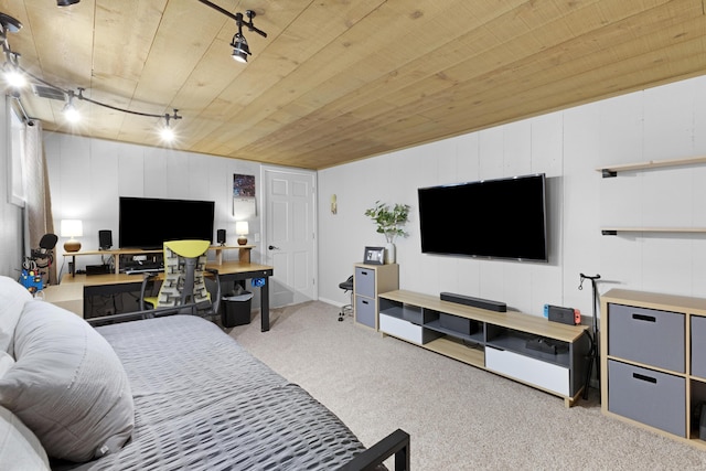 15178 154th Ave, Grand Haven, MI 49417 - carpeted bedroom with rail lighting and wooden ceiling