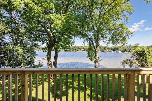6076 Browns Lake Rd, Jackson, MI 49203 - water view