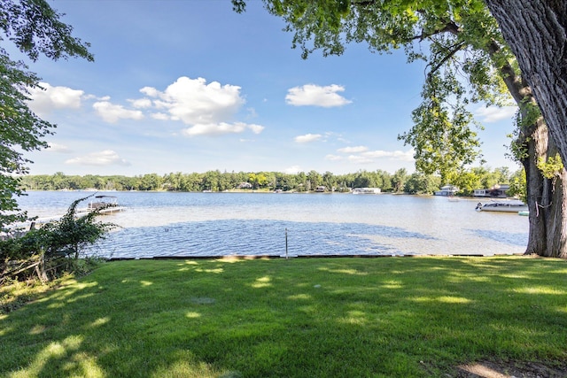 6076 Browns Lake Rd, Jackson, MI 49203 - water view