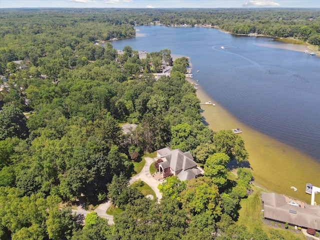 6076 Browns Lake Rd, Jackson, MI 49203 - bird's eye view of a heavily wooded area and a large body of water