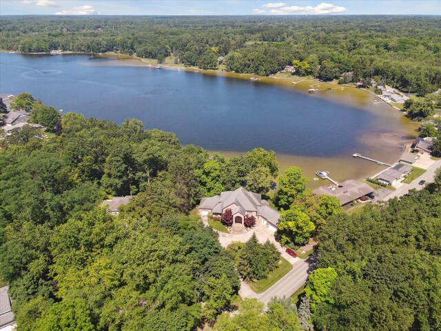 6076 Browns Lake Rd, Jackson, MI 49203 - aerial view of a forest and a large body of water
