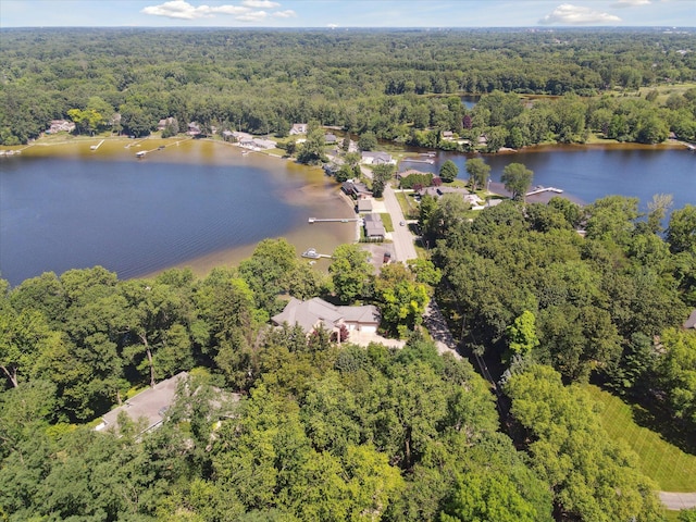 6076 Browns Lake Rd, Jackson, MI 49203 - aerial view of a heavily wooded area and a large body of water