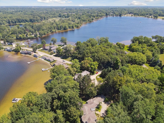 6076 Browns Lake Rd, Jackson, MI 49203 - aerial overview of property's location featuring a heavily wooded area and a large body of water