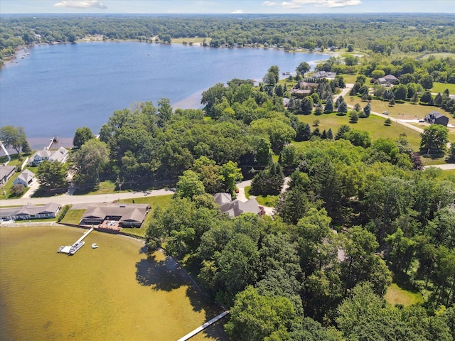 6076 Browns Lake Rd, Jackson, MI 49203 - drone / aerial view of a heavily wooded area and a nearby body of water