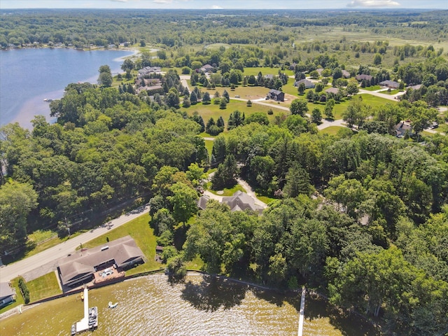 6076 Browns Lake Rd, Jackson, MI 49203 - aerial view of property and surrounding area featuring a nearby body of water and a heavily wooded area