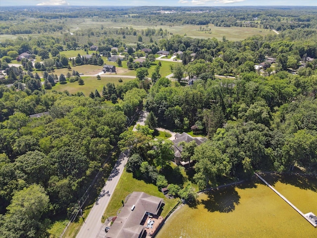 6076 Browns Lake Rd, Jackson, MI 49203 - bird's eye view of a heavily wooded area