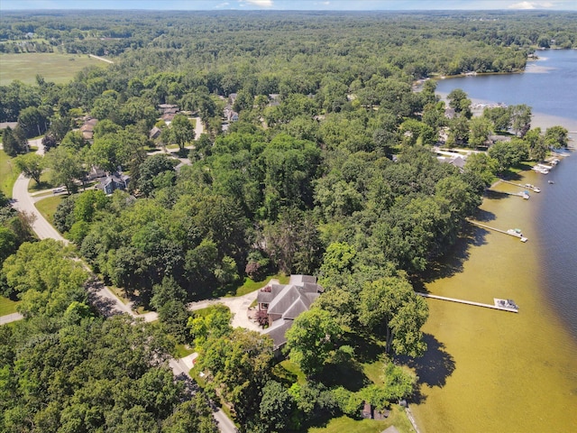 6076 Browns Lake Rd, Jackson, MI 49203 - bird's eye view of a heavily wooded area and a nearby body of water