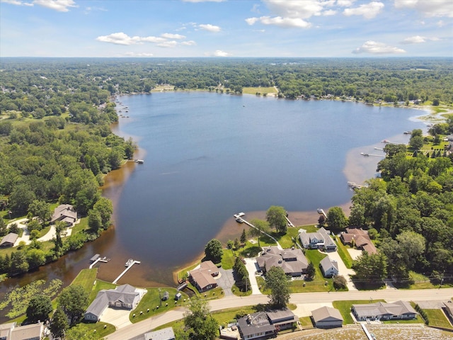 6076 Browns Lake Rd, Jackson, MI 49203 - aerial view of residential area with a nearby body of water